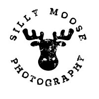 Silly Moose Photography(@SillyMoosePhot1) 's Twitter Profile Photo