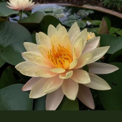 Anupriya5941081's profile picture. Let there be star shine in every one's life !💫💫✨🌈✨