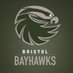 Bristol Men's Basketball team (@BayhawksMbball) Twitter profile photo
