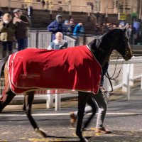 Nick Dalgarno (@cheekyweered) 's Twitter Profile