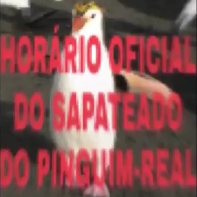 TWITTER OFICAL DO EXTRATO DO PINGUIM REAL
18 HORAS HORÁRIO OFICIAL TODOS OS DIAS