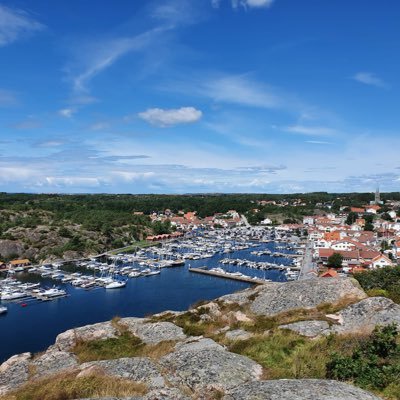 DRossger's profile picture. Consultant & NET Developer