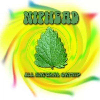 NipheadC's profile picture. 100% all-natural, locally grown catnip & handmade cat toys and accessories