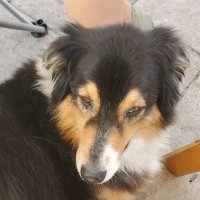 Banger (@bryceanger) 's Twitter Profile