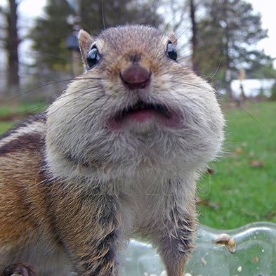 thespotmue987's profile picture. 