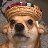 SilentForce1 (@force1silent) 's Twitter Profile