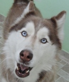 mitek113's profile picture. 