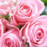 グレースタイム (@lpo4n22zw2cjjfy) 's Twitter Profile Photo グレースタイム (@lpo4n22zw2cjjfy) 's Twitter Profile Photo