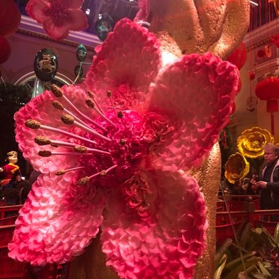 Sassyrobotqueen's profile picture. marine daughter MAGA 2020