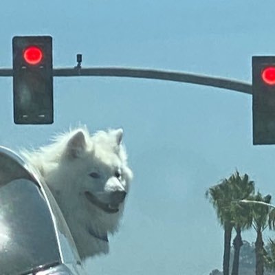 MariaEd15949632's profile picture. 13y,trouxa,sou legal juro,pregiça