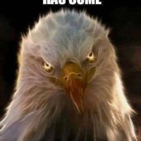 I*Meme*It!!! (@doublyoop) 's Twitter Profile