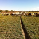 Joaquin Arizpe - @kinoarda - Twitter