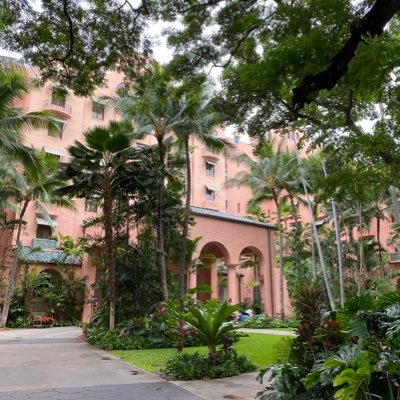 HNL808's profile picture. 