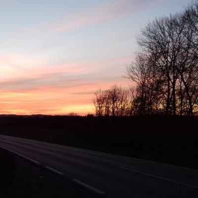 Evelin_Mer's profile picture. 