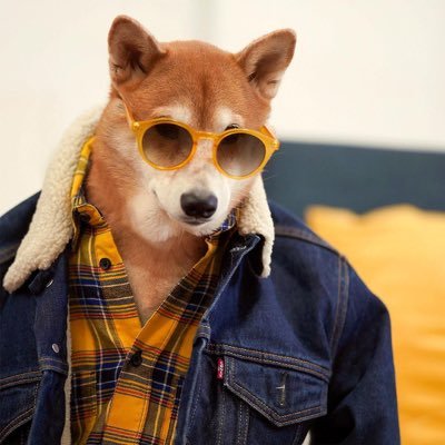 Yutinyooo's profile picture. 