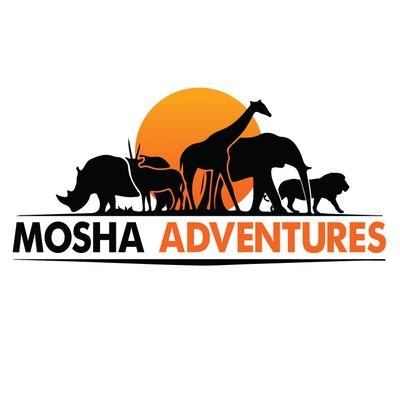 Travel Company
Mountain Climbing
Tanzania Safari
Day Trips
Culture Tourism