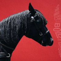 ウエディング馬車 (@qwj8jemcxmwdxyh) 's Twitter Profile