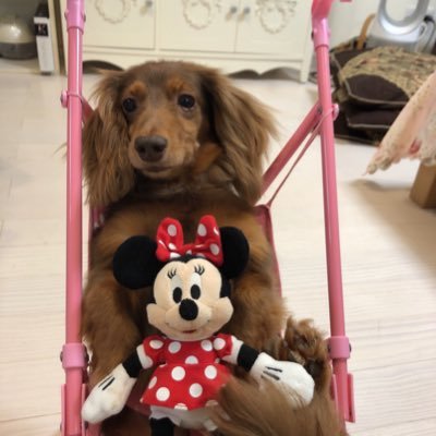 まいむうさんのプロフィール画像