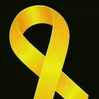 Kent Ho🎗🇺🇸 (@kentho95591405) 's Twitter Profile