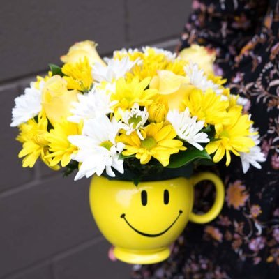 vevenata's profile picture. 