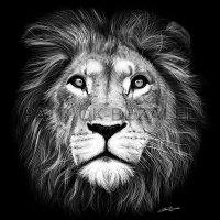 king steel (@hardhotcore44) 's Twitter Profile