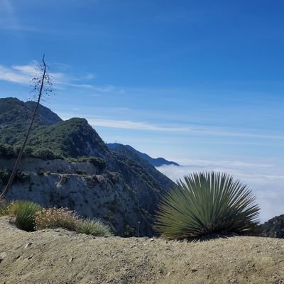 HeCi4ever's profile picture. 🚲🪂🏀⚾️🥋⚽️♟