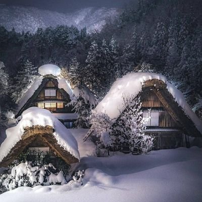 aFYUdgmmRgmlZLX's profile picture. 