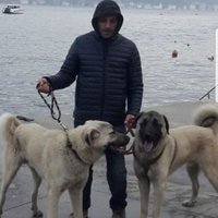 Mehmet Selçuk Yazıcı🇹🇷(@Mehmet_selcuk_) 's Twitter Profile Photo