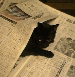 knjkmn's profile picture. 