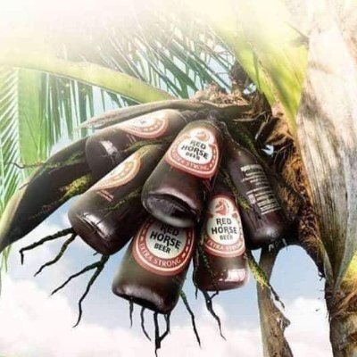 Popoy053's profile picture. Kabitenyo 😁
Balbon.
Mapagbigay 😊