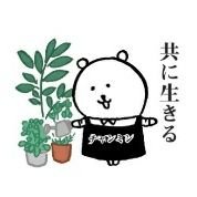 mikenekomin (@chibitatokurota) 's Twitter Profile Photo mikenekomin (@chibitatokurota) 's Twitter Profile Photo