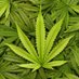420๐ฆ๐๐น๐บ๐ฌ๐๐ฆ (@ugsojah256) Twitter profile photo 420๐ฆ๐๐น๐บ๐ฌ๐๐ฆ (@ugsojah256) Twitter profile photo