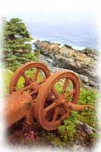 Barmpbarmp's profile picture. A blog honouring Newfoundland & Labrador by Darryl Dinn @darryldinn & friends.