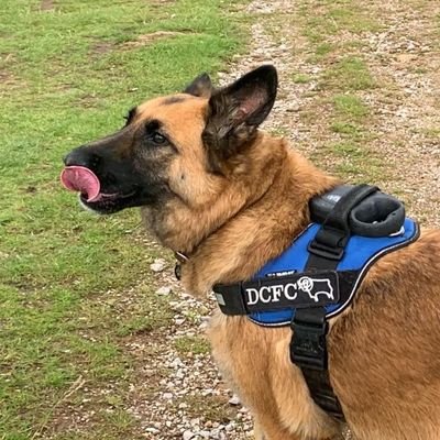 PuddingRam's profile picture. 