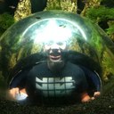 Neo Fang Qi - @NeurimboNeo - Twitter