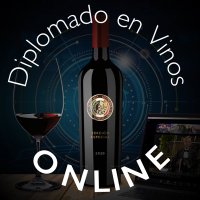 Diplomado en Vinos On Line(@DiplomadoVinos) 's Twitter Profile Photo