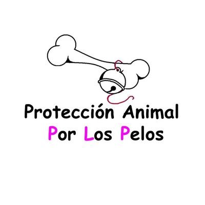 ⚠️ Ayuda para los peludos de la perrera 🍃 Teaming: Salvemos Perrera Toledo https://t.co/byB72q6xES