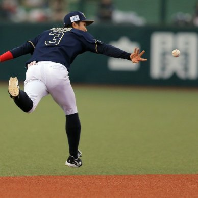 惚れ惚れする内野手の守備を載せていきます。


やはり花形は二遊間