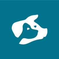 Beyond Carnism (@beyondcarnism) 's Twitter Profile