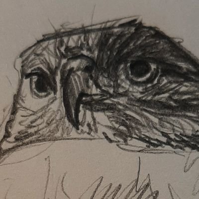 Busssardさんのプロフィール画像