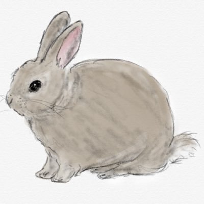 2021夏まで7年間一緒にいた我が家の🐰メルルの名前にちなんでつけました。素敵なものと手芸🧵と🐰好き。