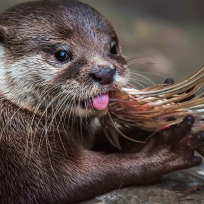 bless_I2's profile picture. Hm