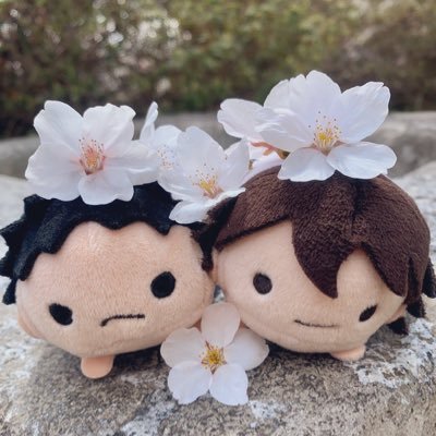 あまねさんのプロフィール画像