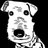 oneco_official's profile image