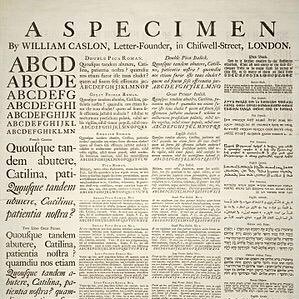 noworrienow1970's profile picture. ultraradicaalextreemdomrechtsracistische ikke ( RH ) 😅, toch maar weer VVD gestemd , een keer vreemd geweest stom hè .
