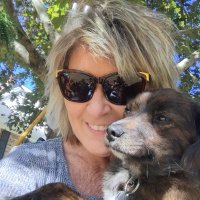 beth lovell, small (@basmall9) 's Twitter Profile