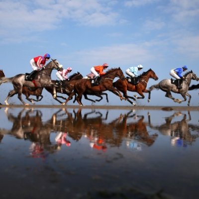 LisStud's profile picture. Corbal-lis House Stud