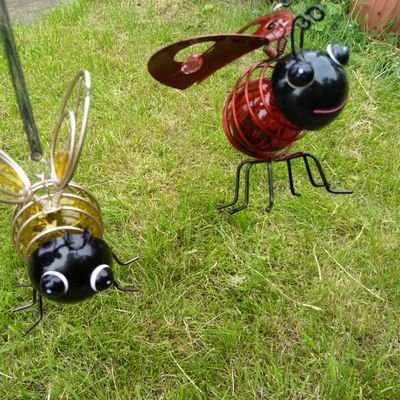 sky_blue_missy's profile picture. I love nothing more than browsing for must have things, for me and my home and garden. ❤👗👢 🏡👫💐🌹🌼