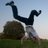 Alex_J_Dolan's profile image