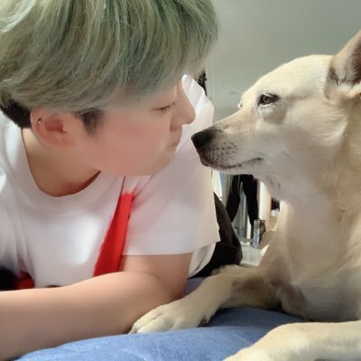 真弓 瞬(まゆみ しゅん)です。表に立ってたけど裏に引っ込み中。雑種犬・すずめはお空へ🌈 ツンデレガール・らら(4歳)かまってボーイ・きき(2歳)女子男子のいいとこ取りトランスジェンダー飼い主(37歳)/保護犬保護猫預かりボランティア